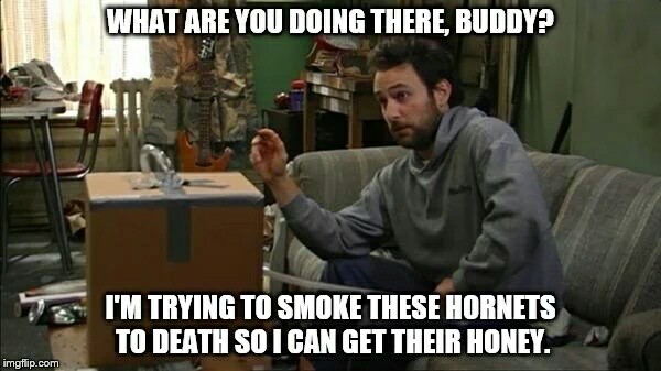 CharlieDayQuote's tweet photo. https://t.co/rIe4Dh1qPW