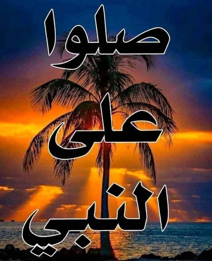 ساره (@sarasaman8) on Twitter photo 