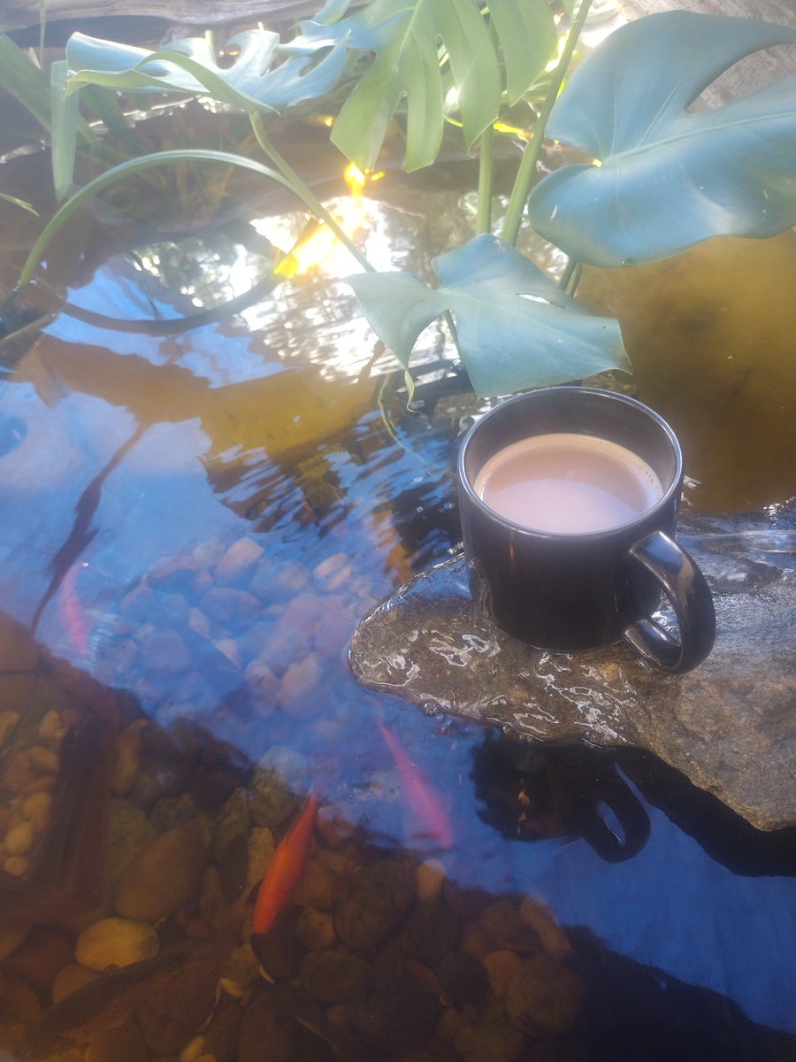 It may not be metal detecting but enjoying a late morning cup of coffee next to our goldfish pond is not a bad way