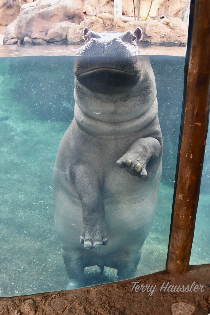 Our birthday girl! #TeamFiona