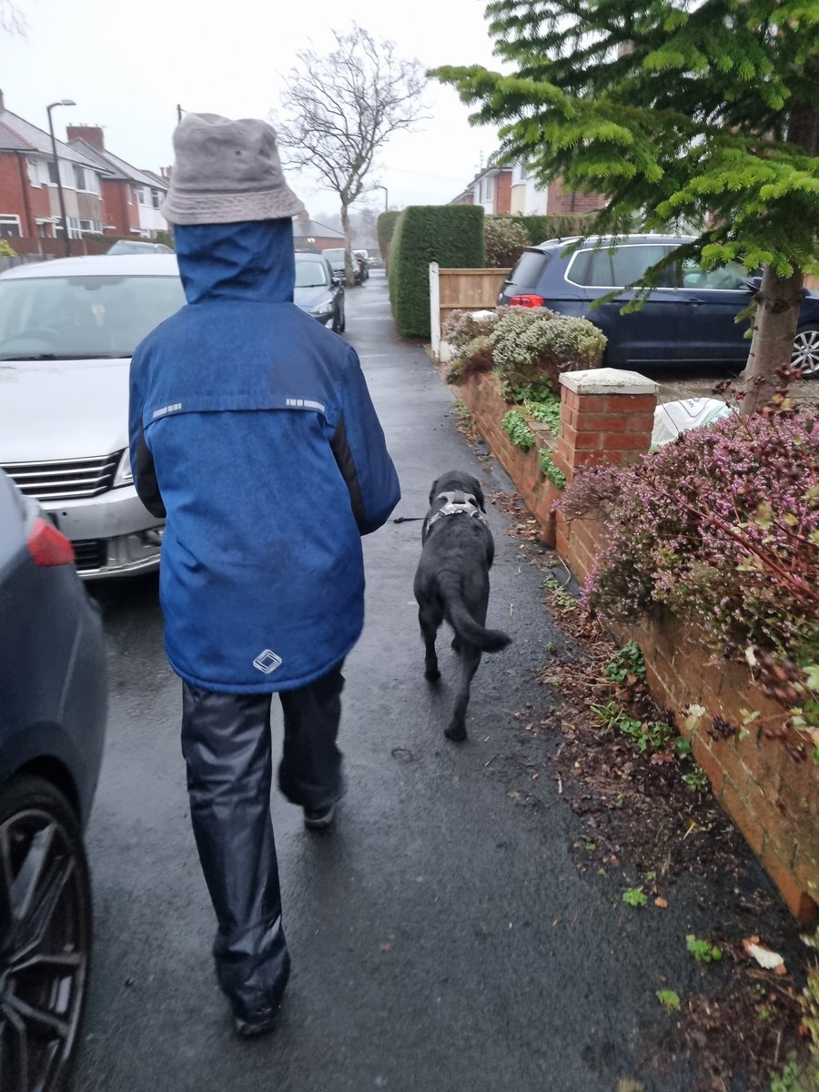 Afternoon walk with Lord Lunn and Reggie. Halfway around, Lord Lunn proclaims his bum is tired and he can't possibly go any further!!! 🤣😂🤣😂🤣 #lovemyboy #bemoresamuel