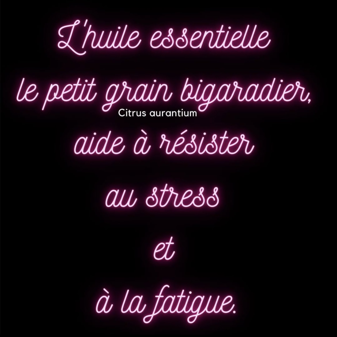 SanteNatRelax's tweet photo. L’ Huile essentielle le petit grain bigaradier (Citrus aurantium) aide à résister au stress et à la fatigue.
.
.
.
.
.
#anxiete #bigaradier #petitgrainbiragadier #he #huileessentielle #stress #fatigue #Citrusaurantium #Citrus #aurantium #zen #relax #relaxant https://t.co/lNPOaof6VJ