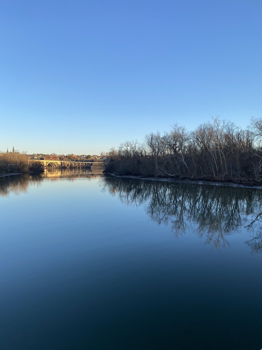 Roosevelt Island DC parkrun tweet media