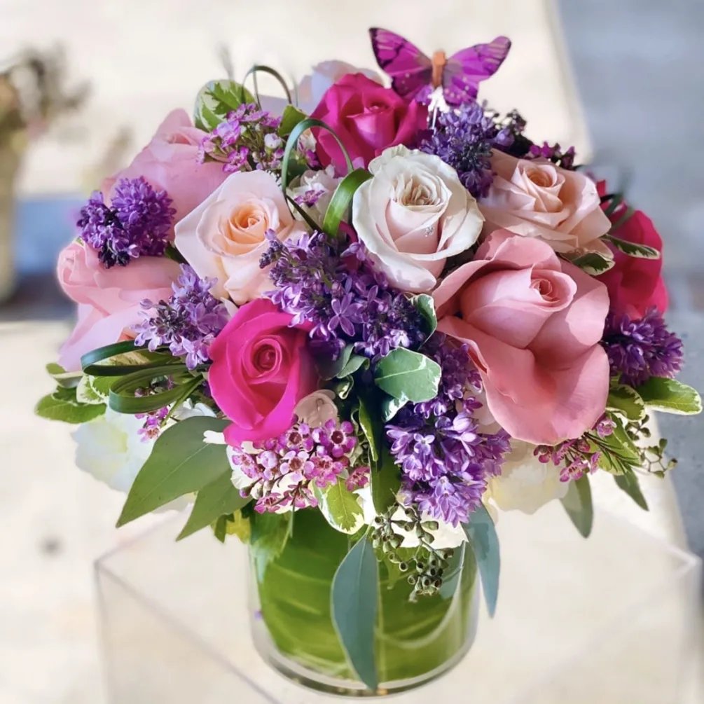 BloomNation tweet media