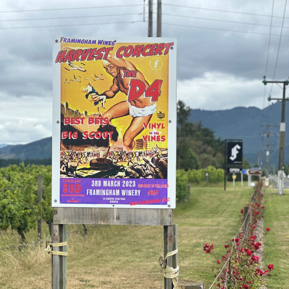 We are pumped!! The annual Framingham Harvest Concert is back! It is better than ever! 4 bands will hit the main stage.  Friday the 3rd of March 2023. The D4, Best Bets, Big Scout and Vinyl in the Vines. Tickets @eventfinda. It always sells out so get in quick!!