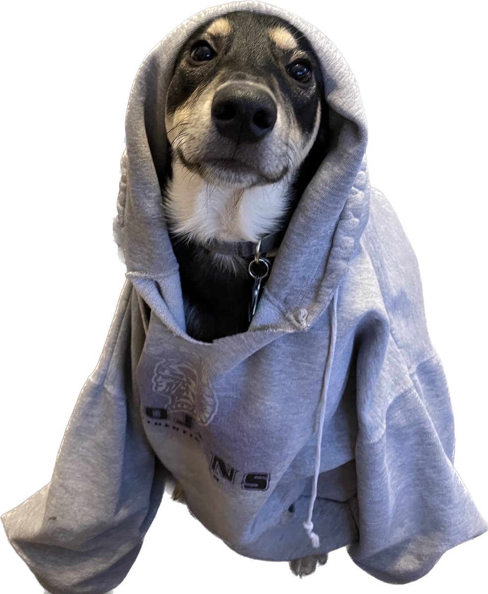 bseligm's tweet image. 