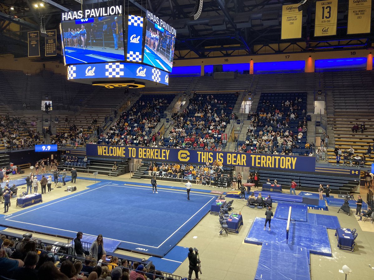 gigglingone's tweet photo. Go Bears! @CalWGym #beatthetree https://t.co/SZKYsjVYlc
