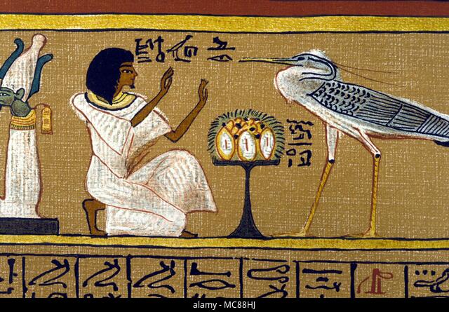 localelisopper's tweet photo. Unyielding Devotion is based on the Egyptian god Horus

Phoenix is most likely to be a closer reference to the Egyptian mythical creature that inspired the Greek Phoenix, the Bennu (based on a real-life bird that was alive around that time called the Benu Heron)

I am very normal https://t.co/d5Zgo0g7Fe