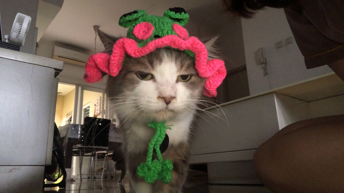 Muka-muka tak patut dijadikan barongsai dengan topi 🐸😠💜