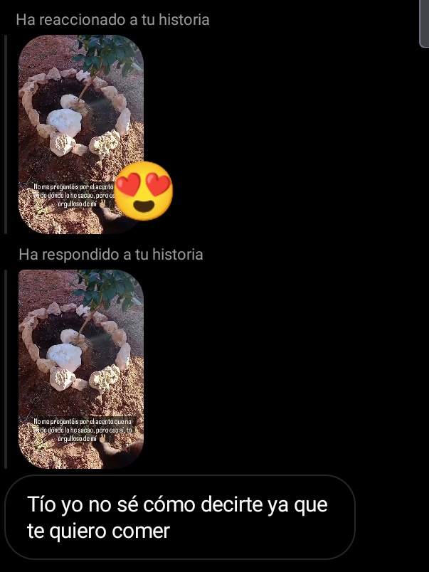 FalconFdeFal's tweet photo. Yo solo quería enseñar que he plantao un limonero y de repente esto... Que yo solo quiero cuidar mi huerto joé😪 https://t.co/SlFRkVEKkF