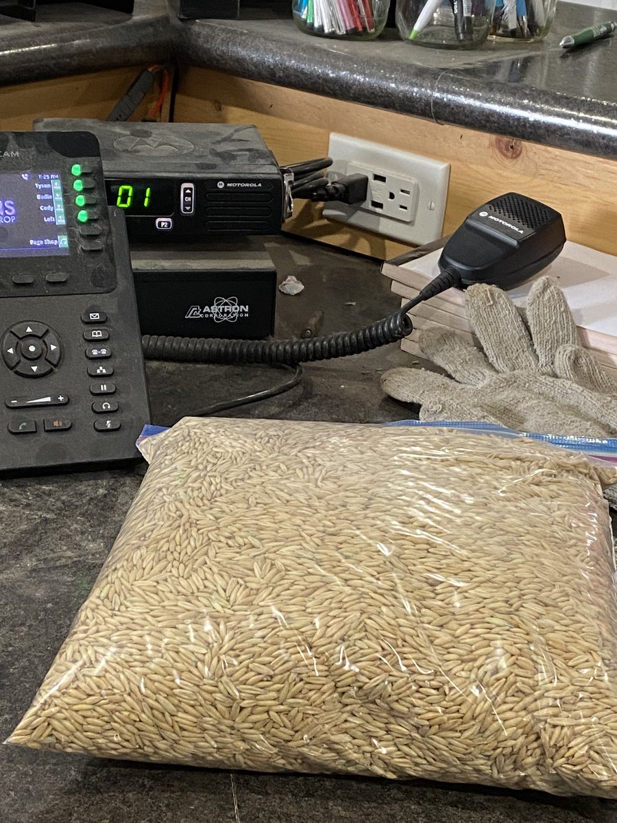 PlainsCoverCrop's tweet photo. Getting some oats cleaned on a beautiful January Saturday! #oats #seed #SoilHealth #snow https://t.co/QgtuNA0Twr
