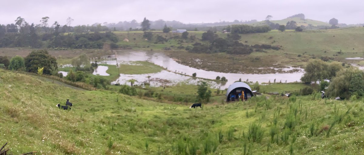 Been here 7 yrs, never seen it do this.
Wainui South stream Aongatete