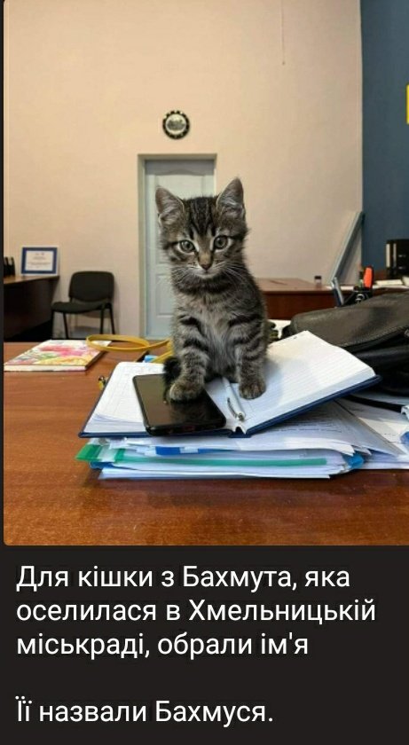 Я знаю, ви чекали цієї новини