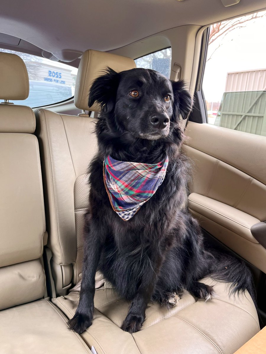 . (@claireskieswx) on Twitter photo 