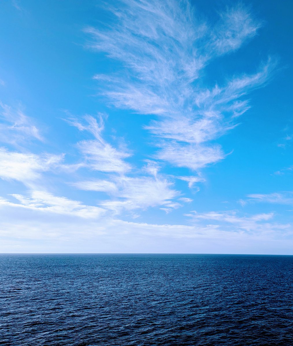 Pop Punk tweet media