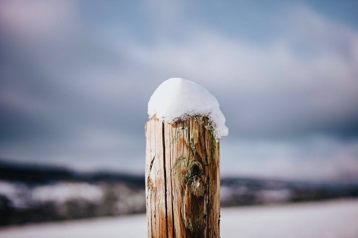 #Bokeh | #Flickr: kurz.co/gy

🗓 01-2023 | 📷 #LeicaM11 | ⚪️ #SummiluxM #35mm #FLE2 | #SummiluxM35mmFLEII #Leica #LeicaM #LeicaCamera #ライカ #photo #photography #madeinwetzlar #Summilux #bokehlicious #玉ボケ #depthoffield #leicaphoto #snow