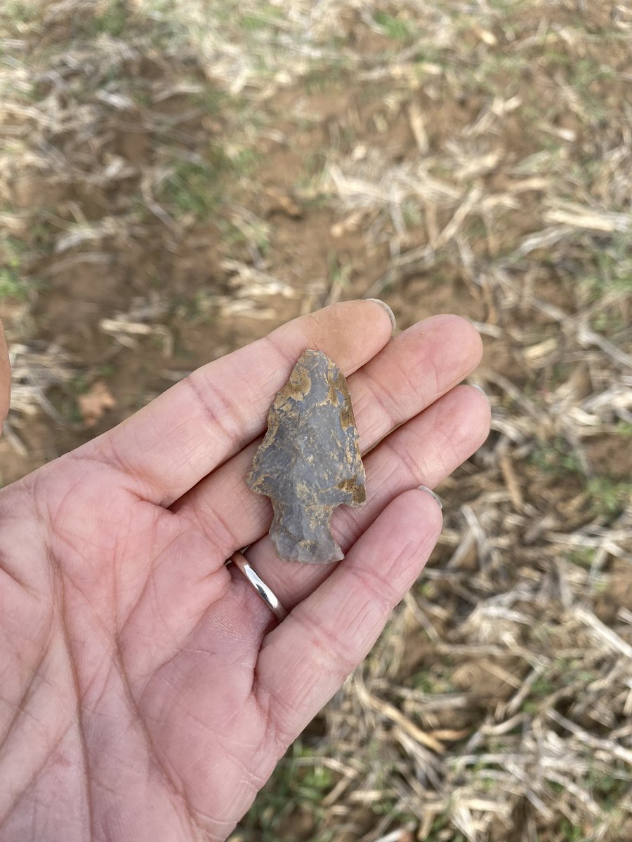 aTinaMichel's tweet image. Took advantage of this Warner weather to look for artifacts. Today I hit the jackpot! #arrowheads