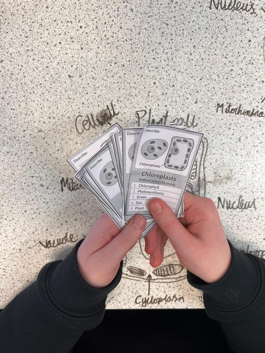 MCS_science's tweet photo. Year 7 pupils were given the opportunity to lead their own learning about plant and animal cells in Mrs Beck’s class. They had the choice of learning through origami, drawing and labelling cells on their desks or through playing a game. Fantastic! https://t.co/H7NB4EaI9h