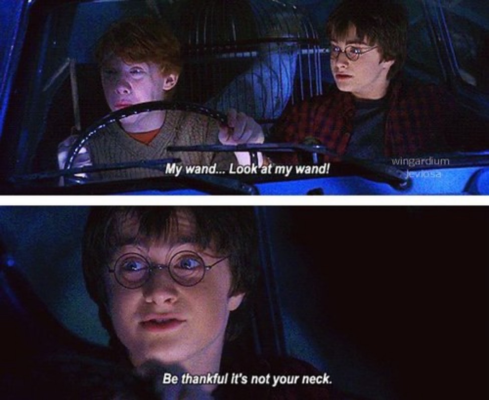 Ron: “My wand... Look at my wand.”

Harry: “Be thankful it's not your neck.”