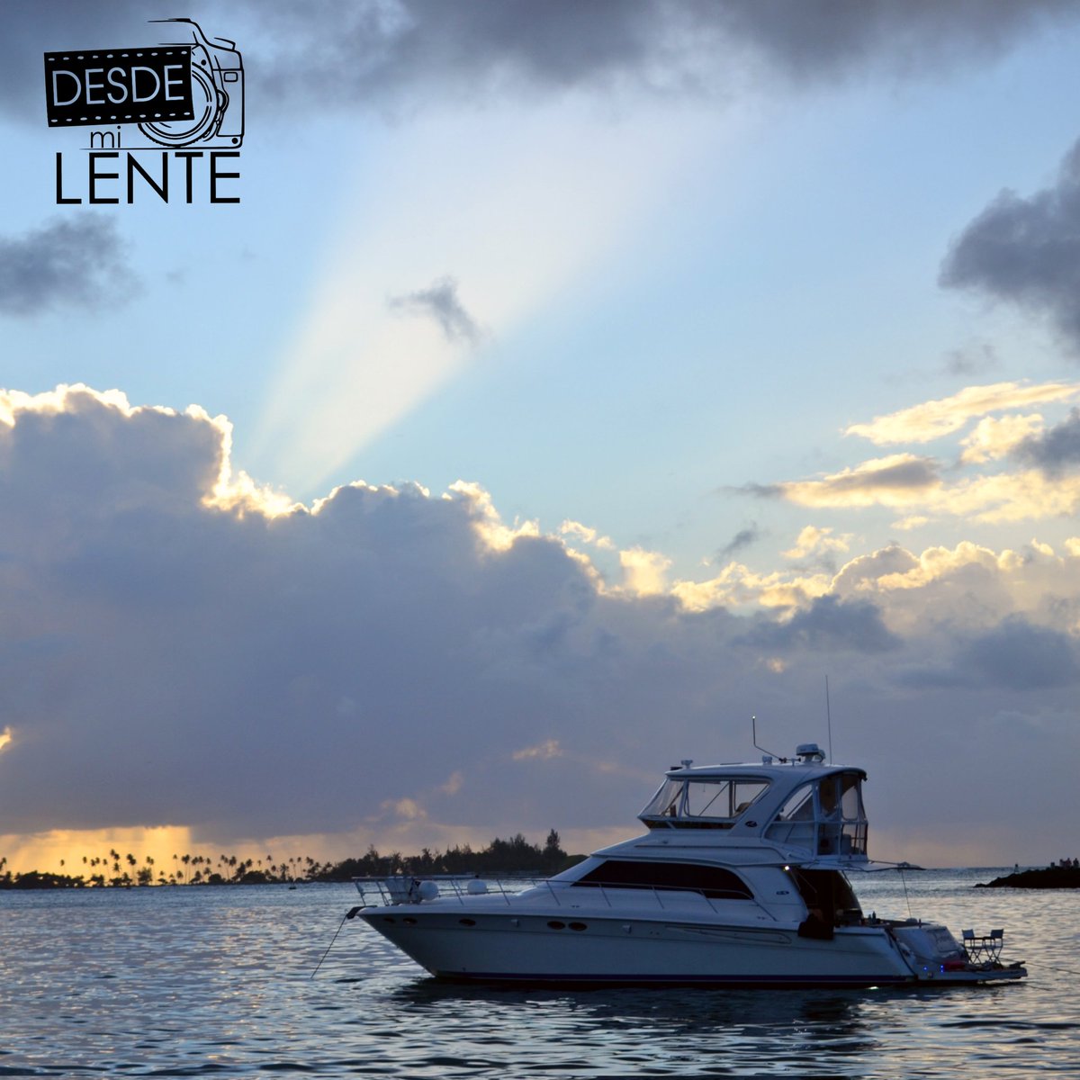 Desde_mi_lente's tweet photo. Mis momentos favoritos son los atardeceres. Cada uno es tan unico! No importa desde donde se vean! 
https://t.co/L0WjpbkbvD

#Desdemilente #PuertoRico #puertorican #boricua #vacation #tourism #sunset #sunsetparadise #isladelencanto #USA #noedit #PHOTOS https://t.co/4SQiNLRrhE