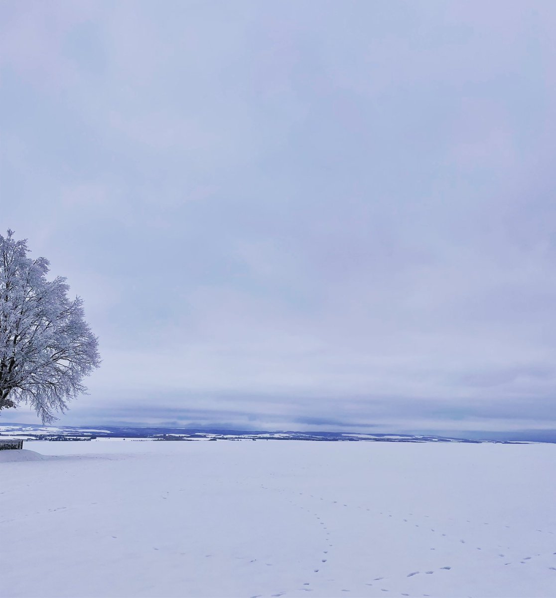 klugelars's tweet photo. Weitblick. #HohensteinErnstthal #Winter #Pfaffenberg https://t.co/NtioKR5260