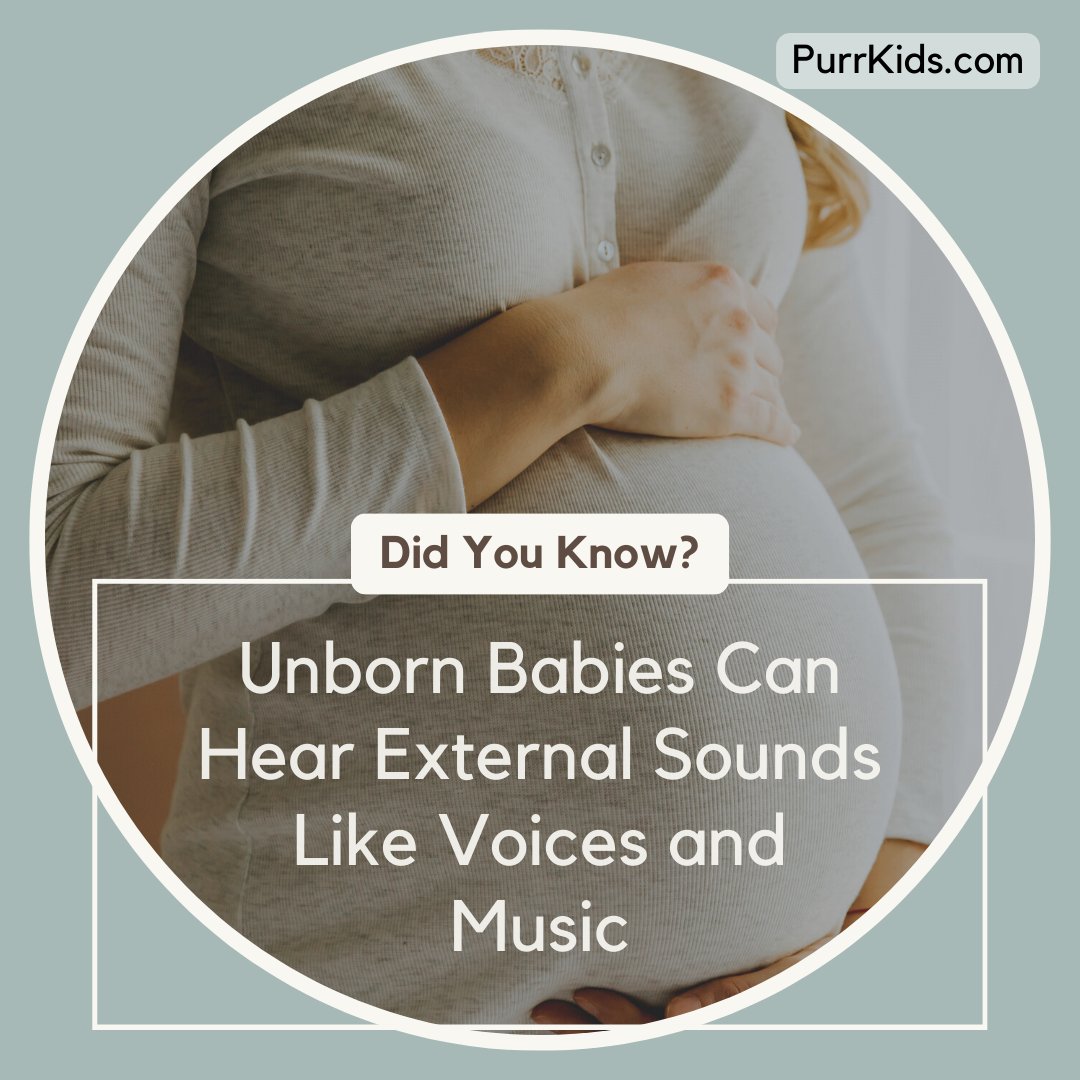 Did you know that unborn babies can hear external sounds like voices and music 🎼 ? 😍👶

#didyouknow #babies #babyfacts #pregnancy #pregnantbelly #pregnant #newparents #parenting #parentingtips #didyouknowfacts #pregnancystages