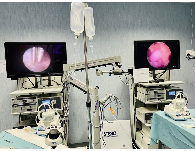 Sandi Lam (@sandi_lam) on Twitter photo Awesome to teach #neuroendoscopy to bright #neurosurgeons around the world. Thanks Dr Giuseppe Cinalli <a href="/FederationIfne/">International Federation of NeuroEndoscopy (IFNE)</a> for bringing amazing #neurosurgery #MasterSurgeon faculty together #Napoli <a href="/AornSantobono/">AORN Santobono-Pausilipon</a> Great exchange of ideas! @LurieNeurosurg <a href="/alberto_feletti/">Alberto Feletti</a> <a href="/BasselZebian/">Bassel Zebian</a> Awesome to teach #neuroendoscopy to bright #neurosurgeons around the world. Thanks Dr Giuseppe Cinalli <a href="/FederationIfne/">International Federation of NeuroEndoscopy (IFNE)</a> for bringing amazing #neurosurgery #MasterSurgeon faculty together #Napoli <a href="/AornSantobono/">AORN Santobono-Pausilipon</a> Great exchange of ideas! @LurieNeurosurg <a href="/alberto_feletti/">Alberto Feletti</a> <a href="/BasselZebian/">Bassel Zebian</a>