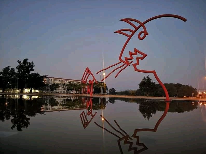 Alicia Senra Mugica tweet media