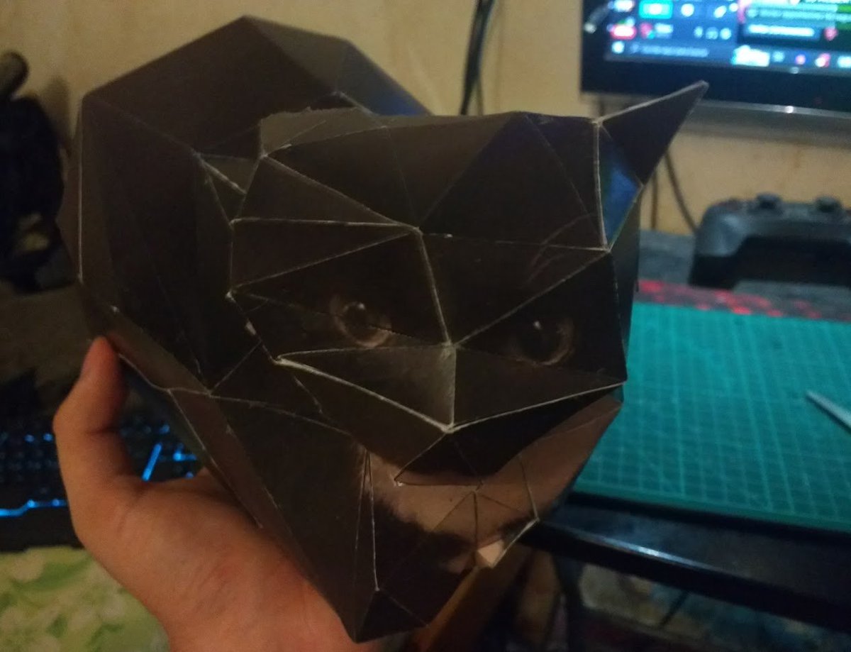 ElGuerras3's tweet photo. I made Maxwell the cat using Papercraft :D
Took me 11 hours to complete... it was completely worth it <3 https://t.co/jsutFXBn9d