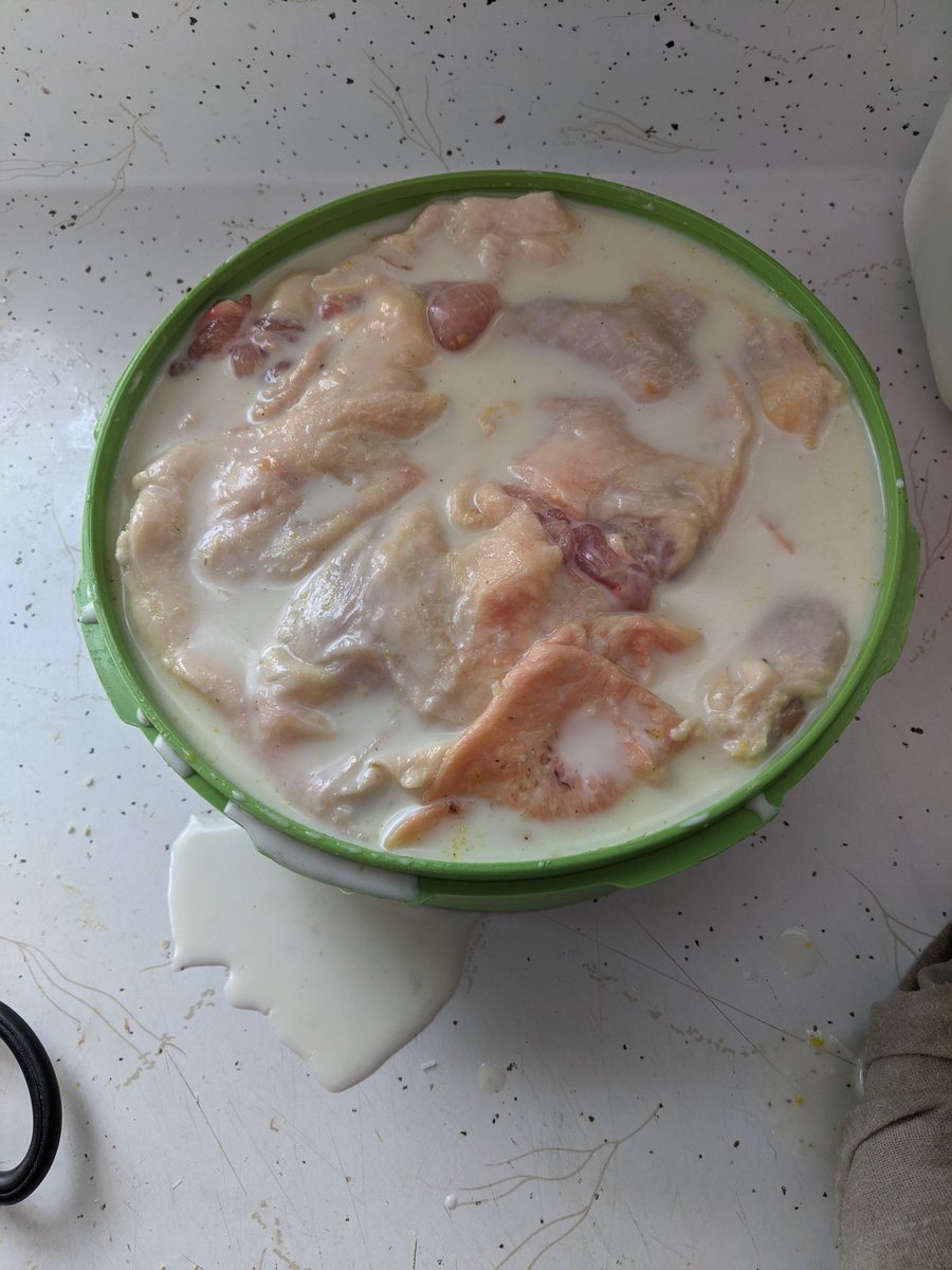 Croissantmanman's tweet photo. I love it when mom makes me milk chicken for lunch!!! 
It's my favorite!
@GregersonStacy https://t.co/5wPYv7BpyQ