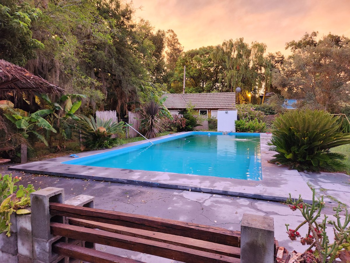 Ben McCarthy tweet media