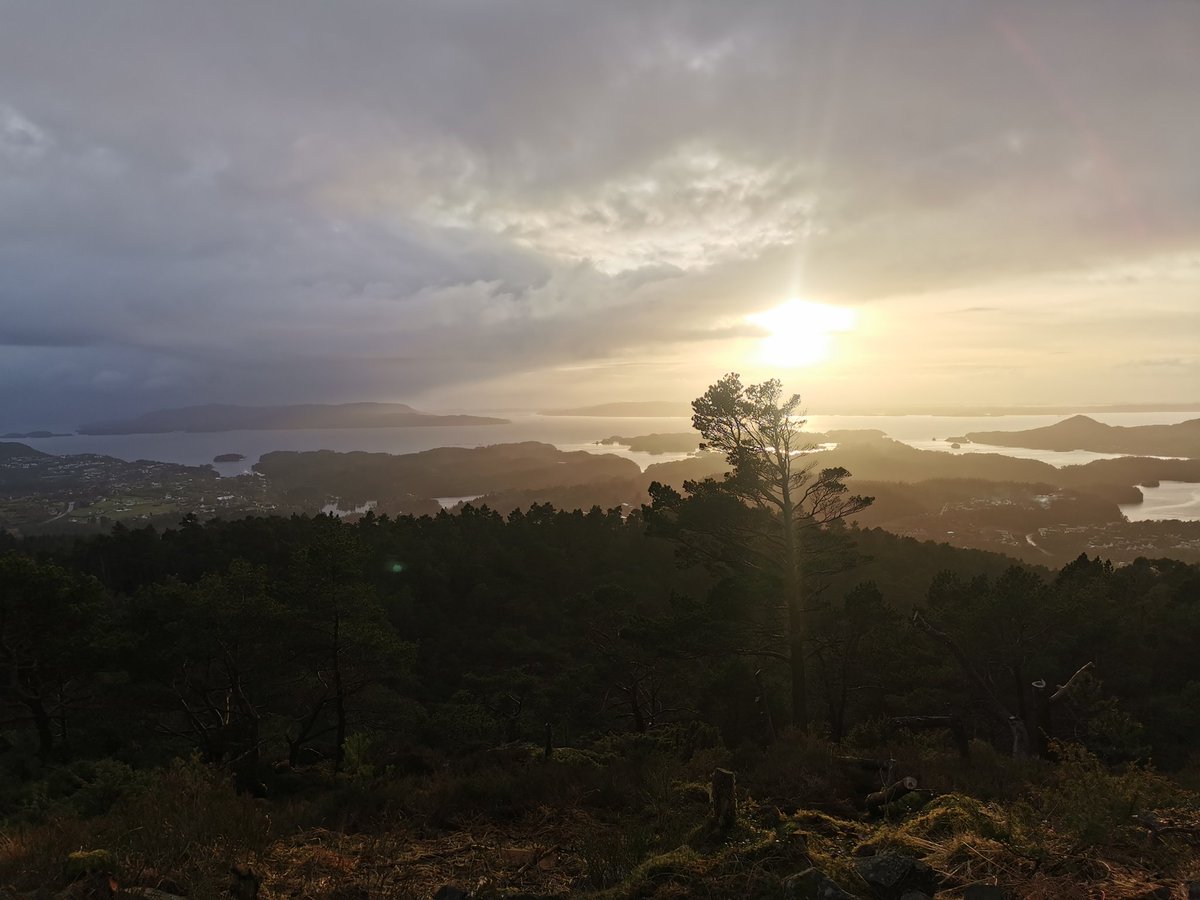 Bjørnaåsen (119m) and Liafjellet (259)
Short hikes in Bjørnafjorden municipality.