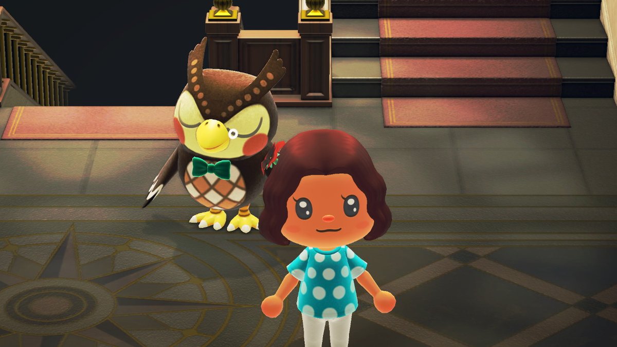 MsShadami's tweet photo. #AnimalCrossing #ACNH #NintendoSwitch my 9 year old loves the museum. <3 Pictures found on my switch. adorable. https://t.co/LlwrcThbGX