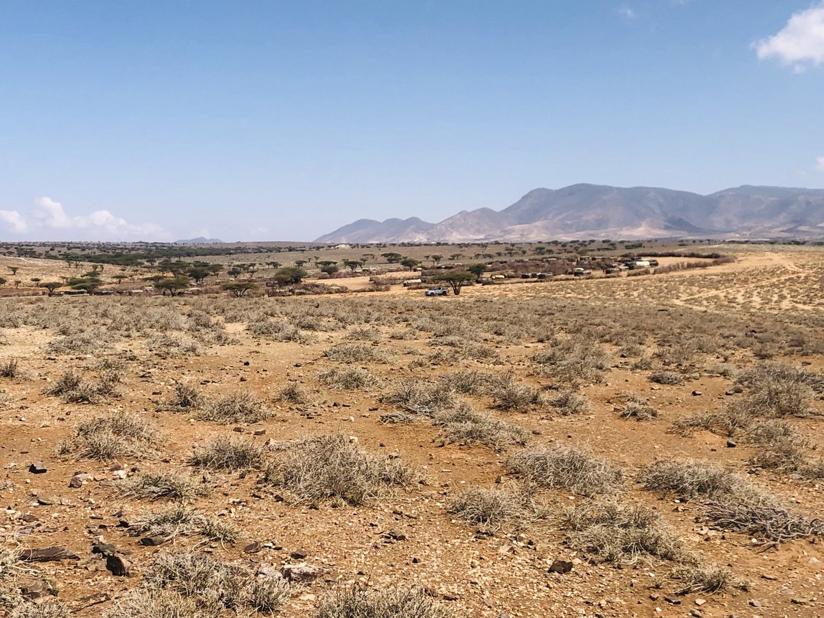 Lmeriae 🇰🇪 tweet media