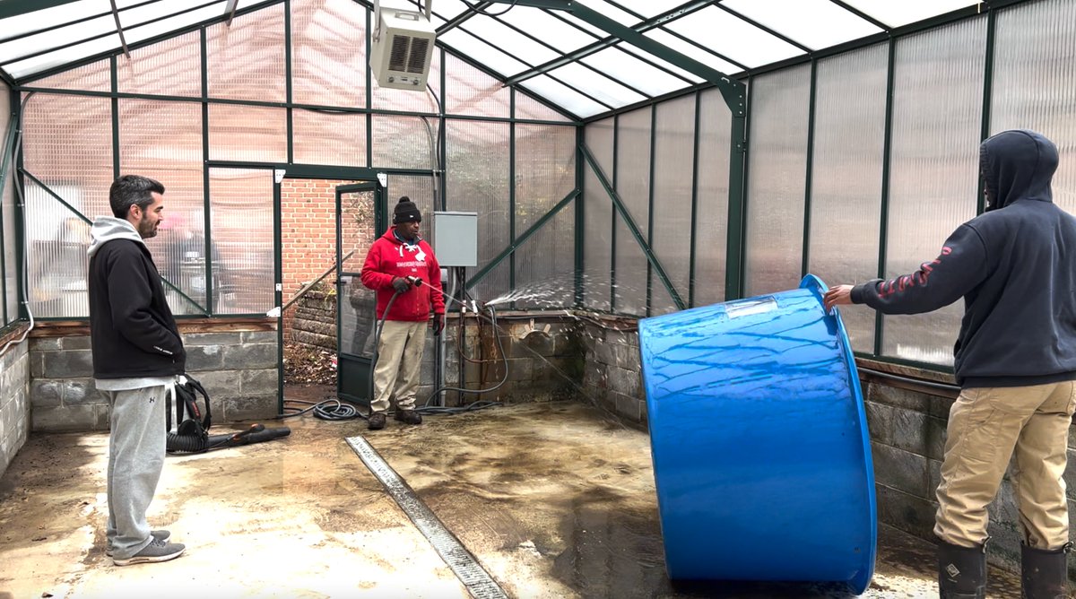Last weekend, we went to Reginald F. Lewis High School for a #greenhouse cleanup so students will have space for aquaculture. Assisting in the effort were students, @UMdExtension, @BMoreAg , Division St. Landscaping, @LewisMuseum, and @EarthOptimism.

📸 by M. Jepsen / MDSG