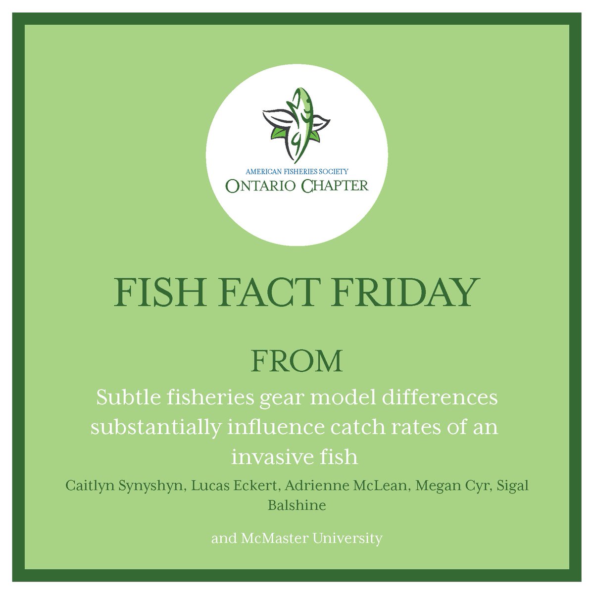 afs_ontario's tweet photo. This week’s #fishfactfriday (more like fish fact Saturday) is a cautionary “tail” of the influence of subtle differences between models of gear types in fisheries research. #fisheries #hamiltonharbour #ontairo #invasivespecies #minnowtraps #science #freshwaterfish https://t.co/96xBjmUgmg