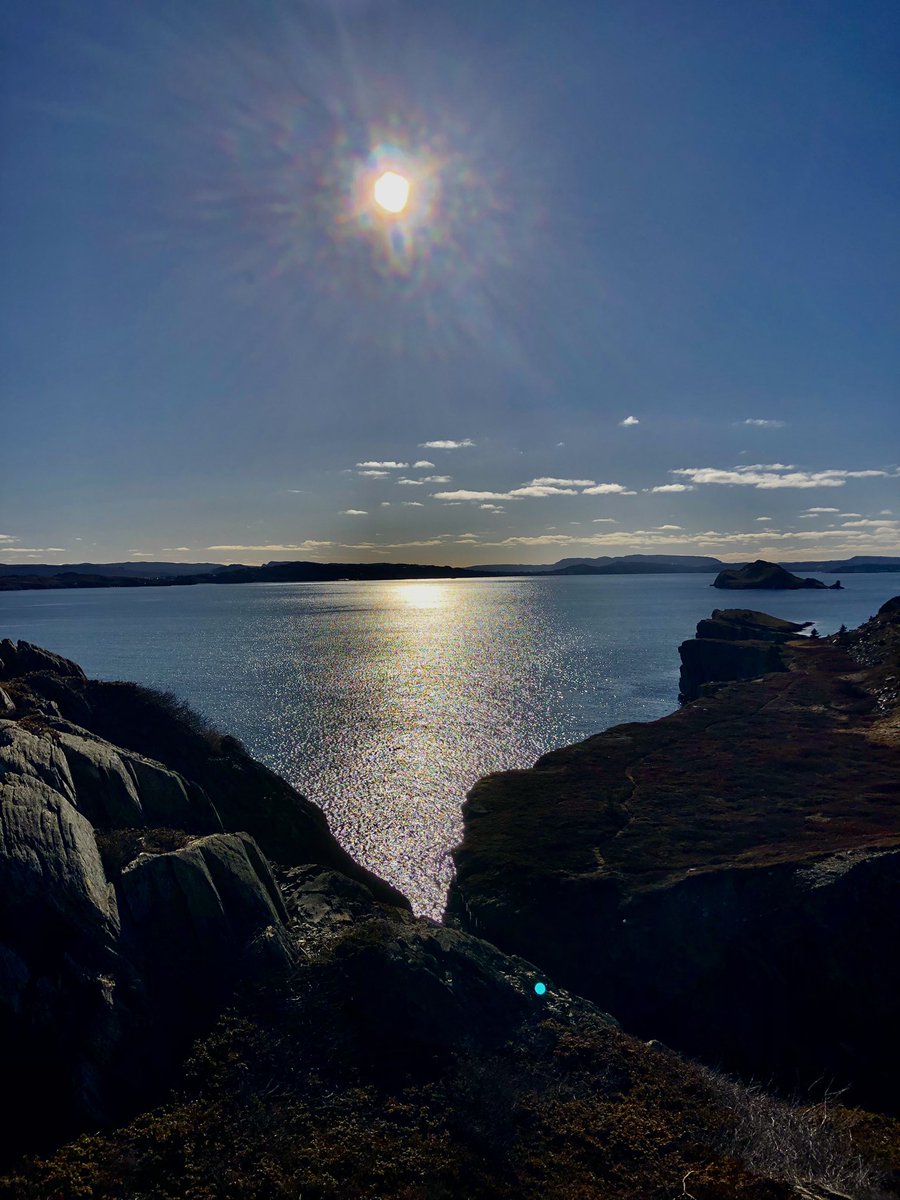michelle8765433's tweet photo. What a day for the end of January #hiking #bayroberts #shorelineheritagetrail #madrock https://t.co/yHAnNLApLd