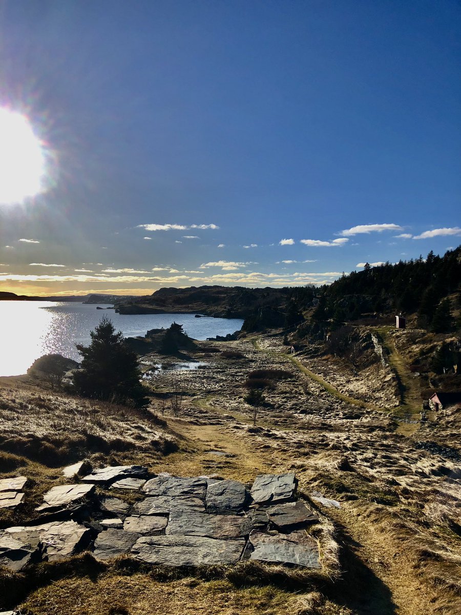 michelle8765433's tweet photo. What a day for the end of January #hiking #bayroberts #shorelineheritagetrail #madrock https://t.co/yHAnNLApLd