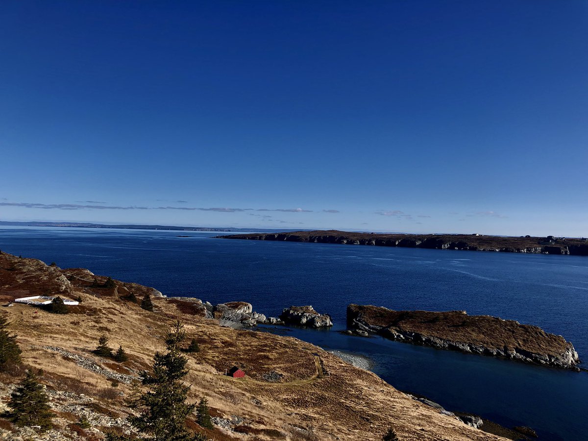 michelle8765433's tweet photo. What a day for the end of January #hiking #bayroberts #shorelineheritagetrail #madrock https://t.co/yHAnNLApLd