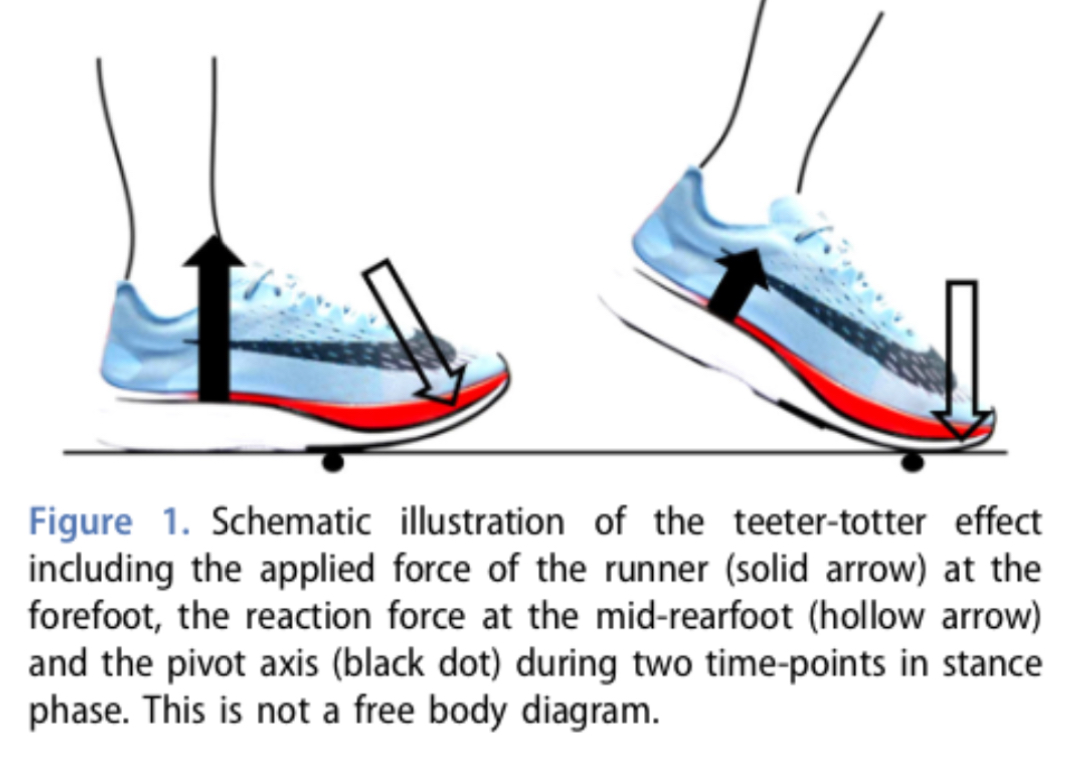 Bruce Williams on Twitter "Towards a biomechanical understanding of