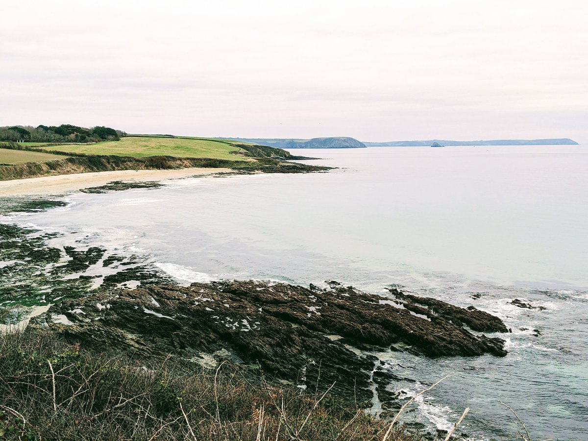 I love living here in winter. It's so peaceful. Just us and the seals! #Cornwall #Portscatho