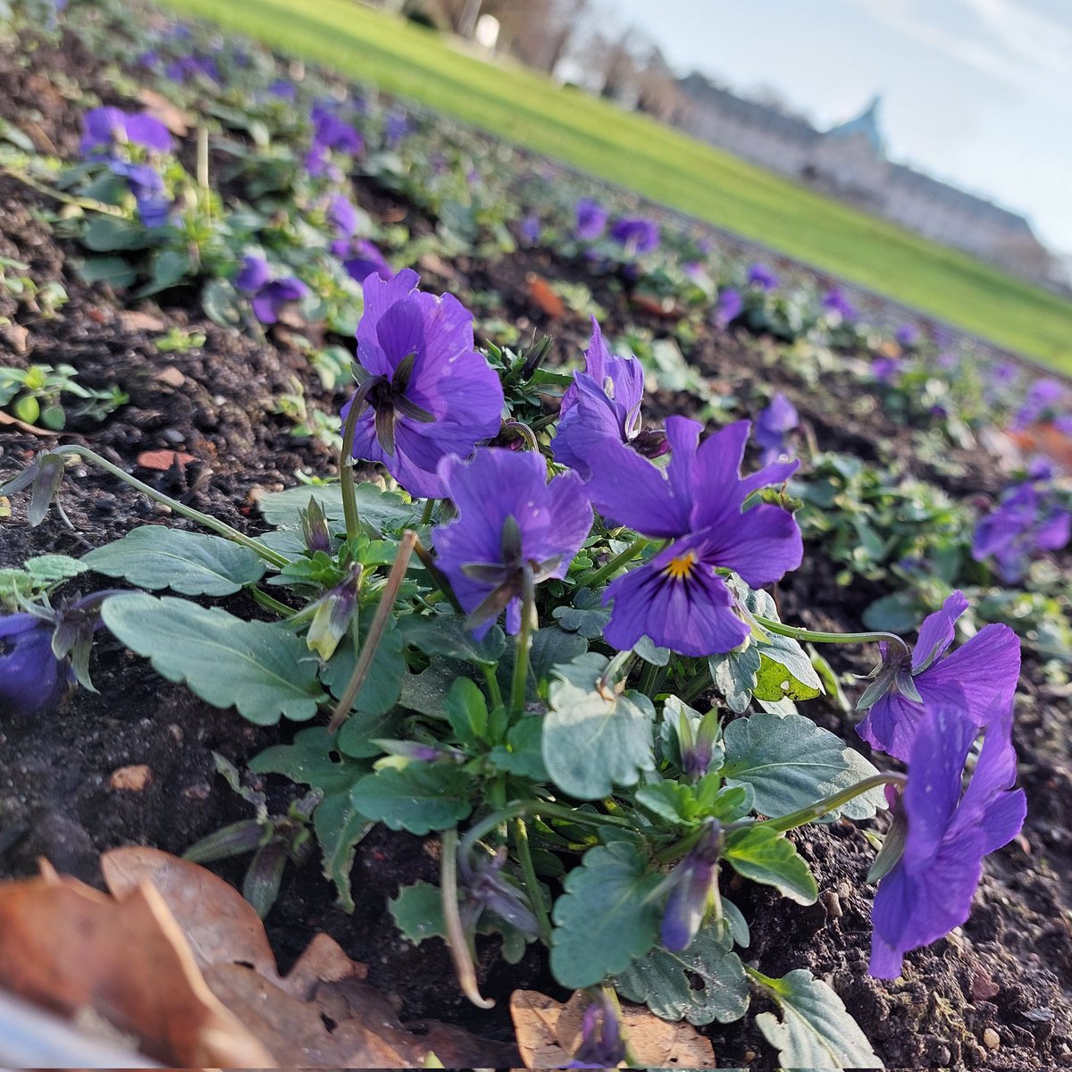 maltecs's tweet photo. Vor-#Frühling in #BadOeynhausen - #kurpark #kaiserpalais #kurstadt #heilbad #mindenlübbecke #owl #nrw https://t.co/GlspAI0V7p