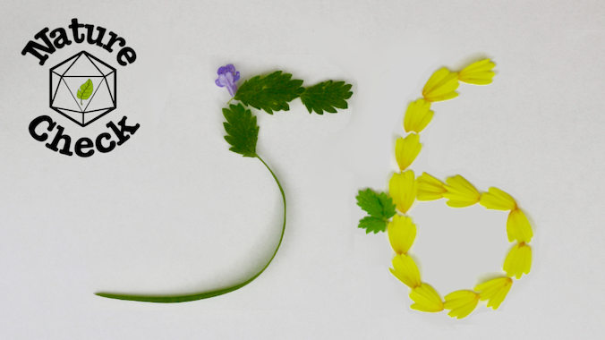 Arda Episode 56 is now available on all platforms!

Our heroes need pearls in order to perform the Identify spell, but where do you actually find pearls?

YouTube: youtu.be/GjVGjyl7_qo
podcast: podbean.com/eas/pb-88afq-1…