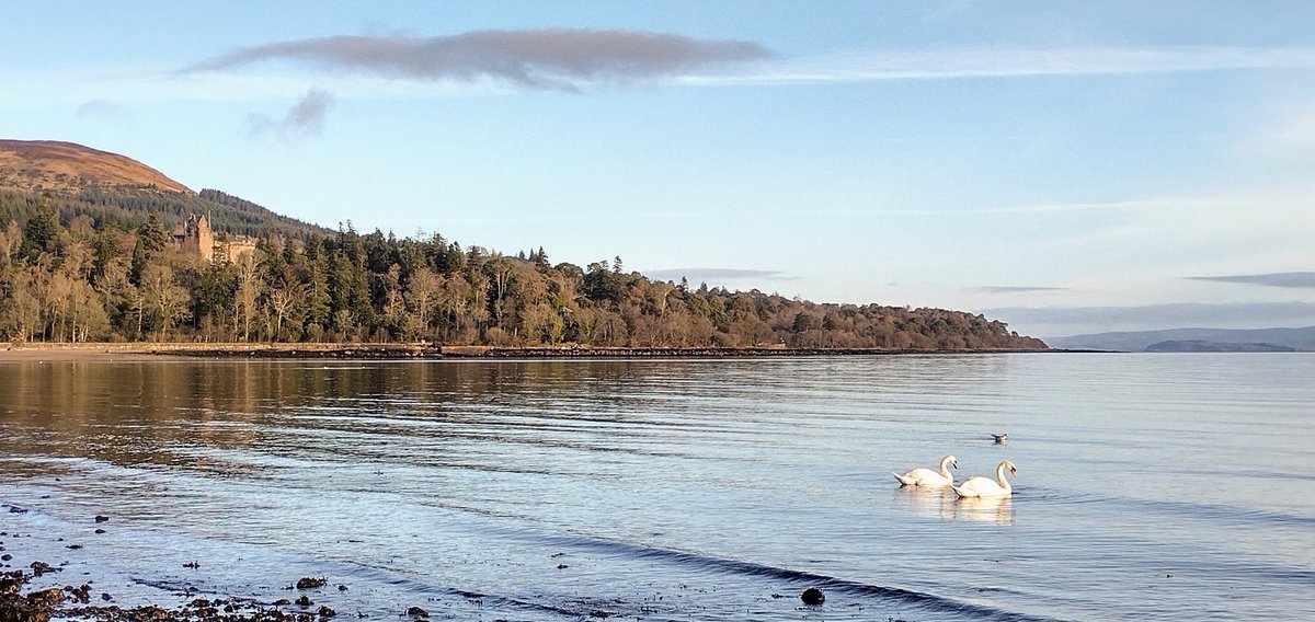 BirtiesBlog's tweet photo. Goatfell and Brodick Castle, Isle of Arran 🥰 @VisitArran @N_T_S  @robinmckelvie @MyFaveBench @VisitScotland 🏴󠁧󠁢󠁳󠁣󠁴󠁿 https://t.co/0qGhGsFDwG