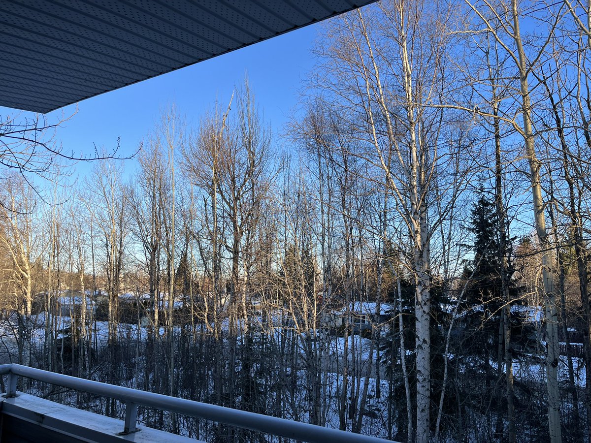 Dr. Christine Ho Younghusband 🇨🇦 tweet media