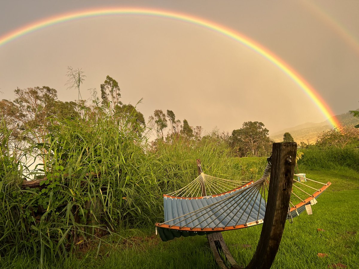 9thWAVeOffGrid's tweet photo. #9thWAVe
#ChasingRainbows
#UpCountryMaui
#Keokea https://t.co/CmpaRbe1dy
