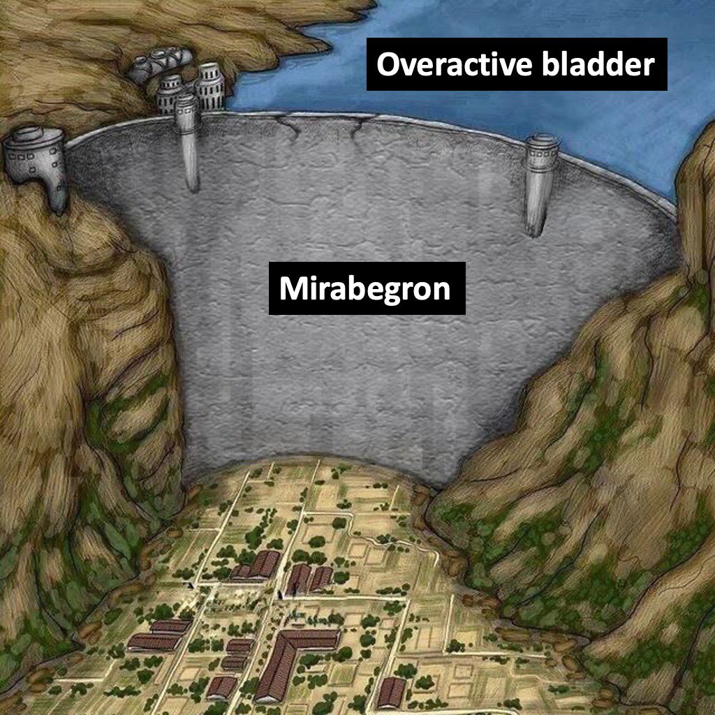 simplify_drugs's tweet photo. Hmm Mirabegron 🤔 

#pharmacology #MedStudentTwitter #MedTwitter https://t.co/Aud2FLIVV9