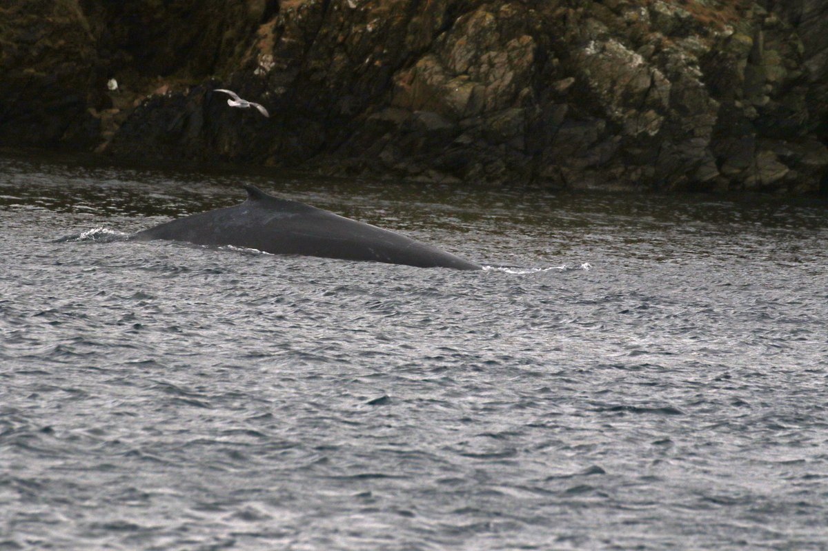 Adrian Kettle tweet media