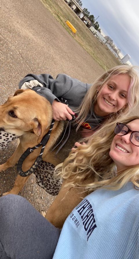 NWCCSoftball's tweet photo. Someone REALLY needs to come get Pixie bc she’s stealing our hearts! Especially mine!! @ReeseBrink06 @kyleemadisonb https://t.co/YV8CHnqm9M