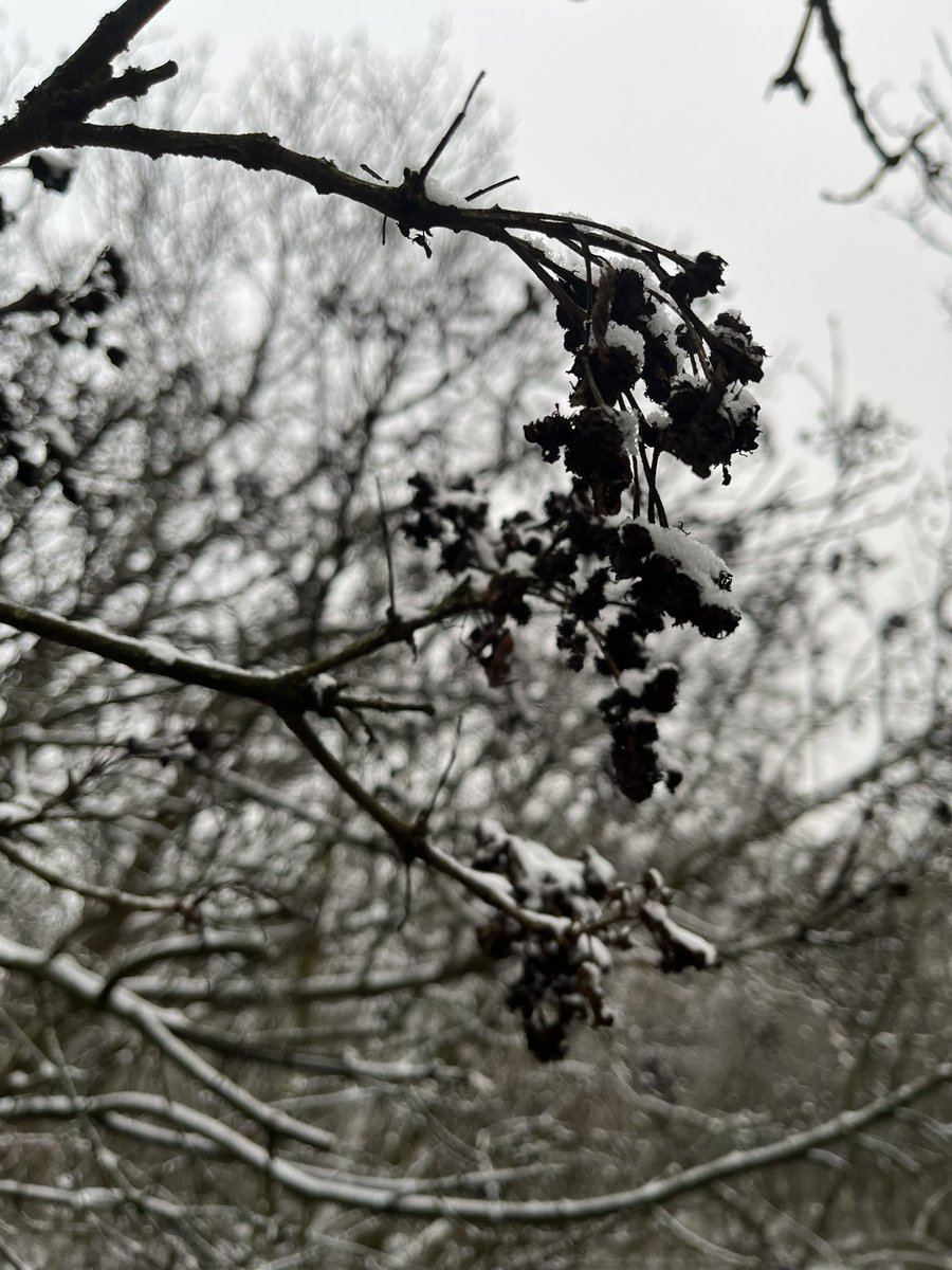 BeataRcsk's tweet photo. #hungary #szelimbarlang #winter https://t.co/1APTzmk1t5